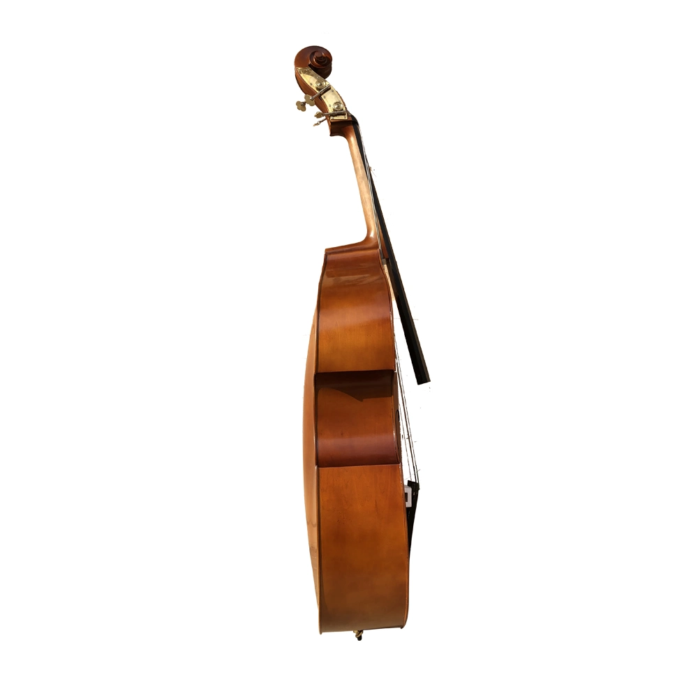 Professional Price Students Beginner Germany Matte Double Bass