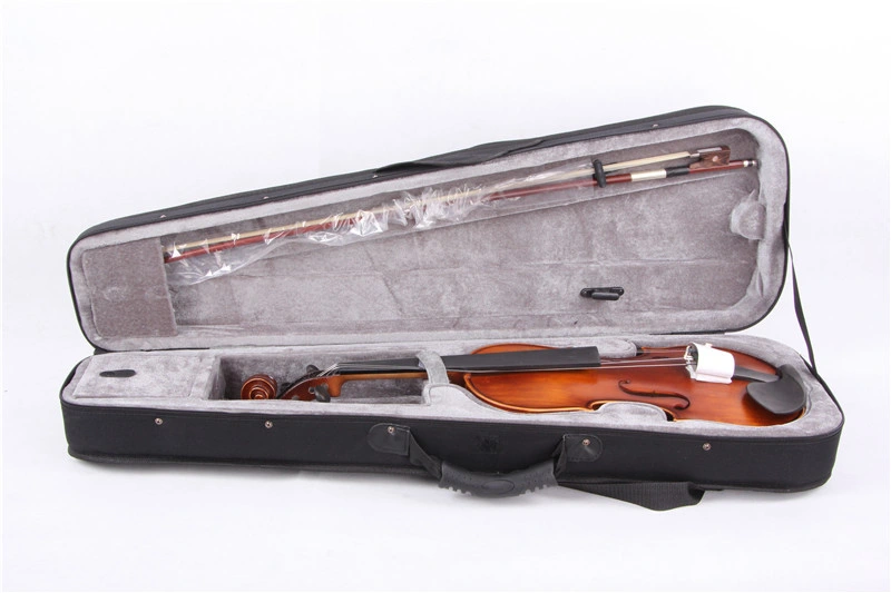 Popular Grade Violin (VLA-8(4/4~1/12))